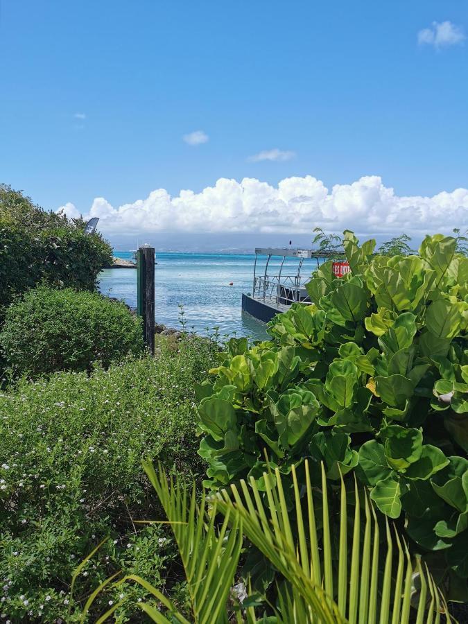La Creole T3 Lumineux A 1Mn De La Plage Le Gosier  Bagian luar foto