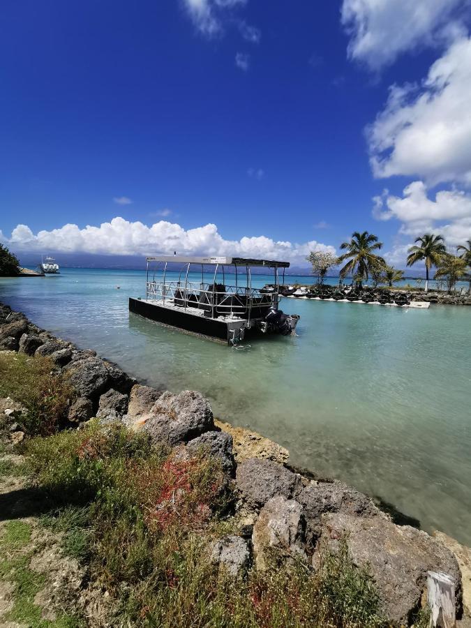 La Creole T3 Lumineux A 1Mn De La Plage Le Gosier  Bagian luar foto